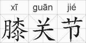 膝关节的拼音