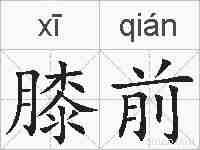 膝前的拼音