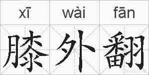 膝外翻的拼音