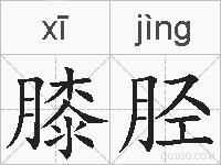 膝胫的拼音