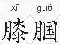 膝腘的拼音