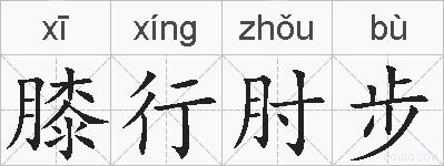 膝行肘步的拼音