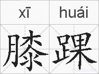 膝踝的拼音