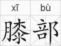 膝部的拼音