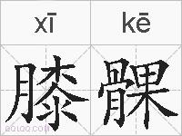 膝髁的拼音
