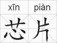 芯片的拼音