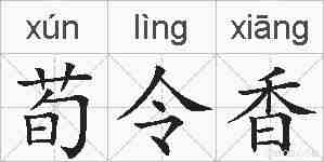 荀令香的拼音