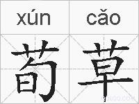 荀草的拼音