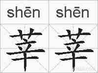 莘莘的拼音