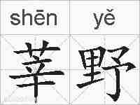 莘野的拼音
