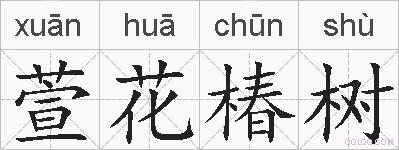 萱花椿树的拼音