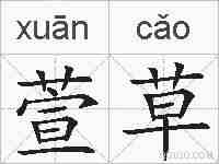 萱草的拼音