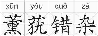 薰莸错杂的拼音