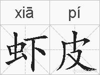 虾皮的拼音
