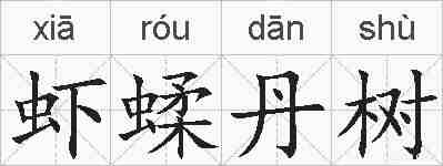 虾蝚丹树的拼音