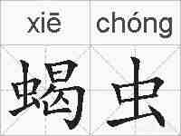 蝎虫的拼音
