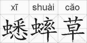 蟋蟀草的拼音
