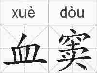 血窦的拼音