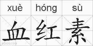 血红素的拼音
