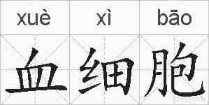 血细胞的拼音