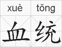 血统的拼音
