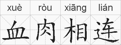 血肉相连的拼音