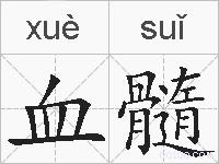 血髓的拼音