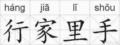 行家里手的拼音