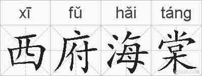 西府海棠的拼音