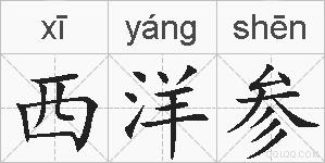 西洋参的拼音
