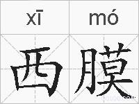 西膜的拼音