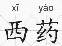 西药的拼音