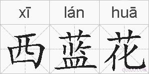 西蓝花的拼音