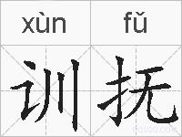 训抚的拼音