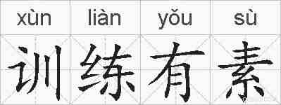 训练有素的拼音