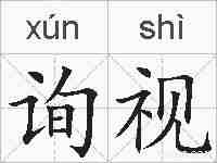 询视的拼音