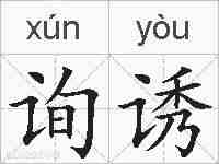 询诱的拼音