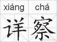 详察的拼音