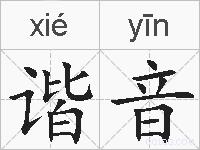 谐音的拼音