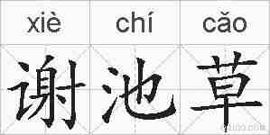 谢池草的拼音