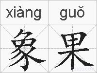 象果的拼音