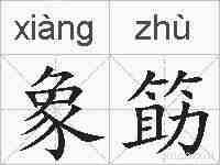 象筯的拼音