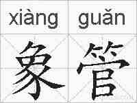 象管的拼音