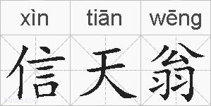 信天翁的拼音