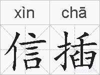 信插的拼音