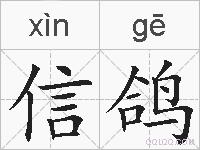 信鸽的拼音