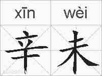 辛未的拼音