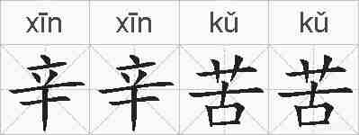 辛辛苦苦的拼音