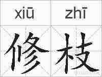 修枝的拼音