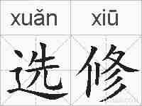选修的拼音